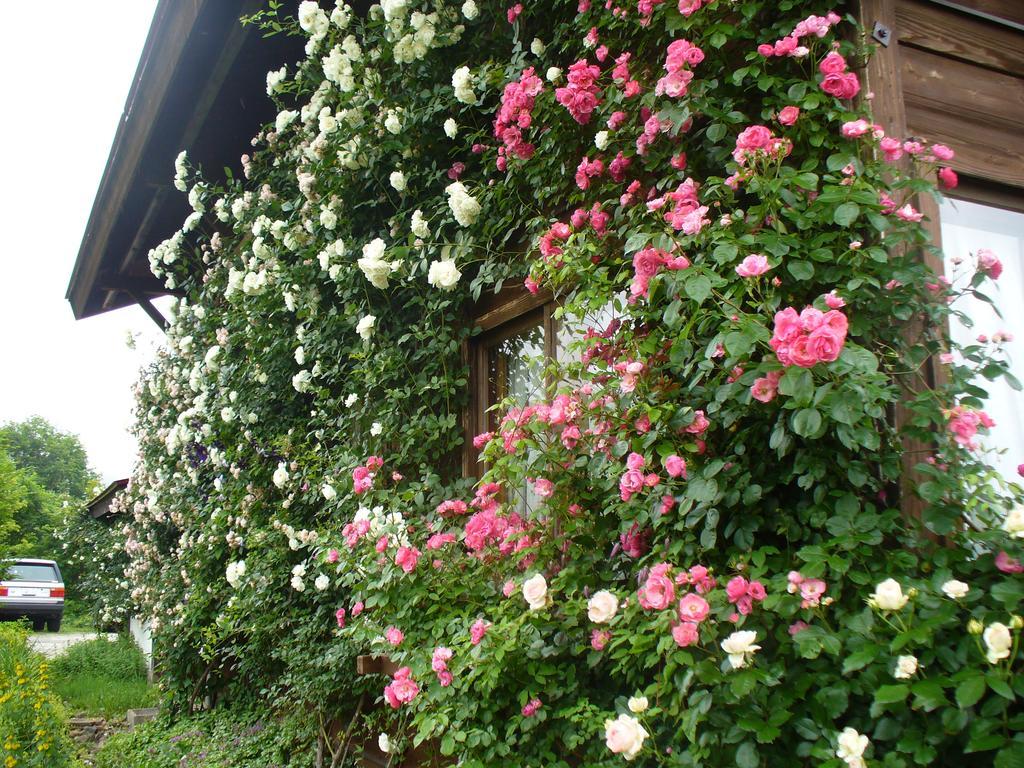 Pension Apple Kaminoyama Exterior photo